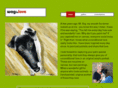 wagtolove.com