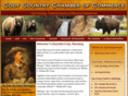 codychamber.net