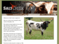 saltcreeklonghorns.com