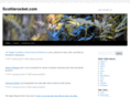 scottierocket.com