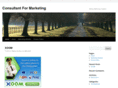 consultantformarketing.com