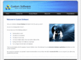 custom-software.biz