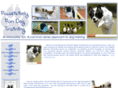 pawsitivelyfundogtraining.com