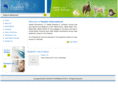 saadatinternational.com
