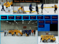 briancooksummerhockey.com