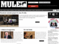 manchestermule.com