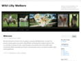 westernwalkinghorses.com