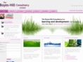 boyeshillconsultancy.com