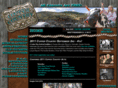 coppercountryfest.com