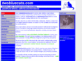 datastatisticsonline.com