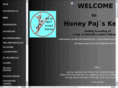 honeypajs.se