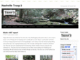 nashvilletroop3.com