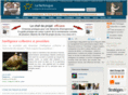 perfologue.net