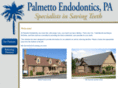 palmettoendodonics.com