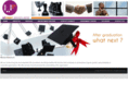 upfrontservicesgh.com