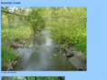 brewstercreek.com