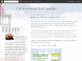 cankombuchahealcandida.com