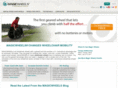 magicwheels.com