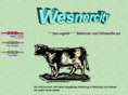 wesnercity.com