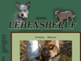 acd-lebensberuf.net