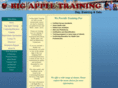 bigappletrainingonline.net