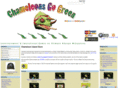 chameleonisland.co.nz