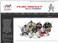 purehockeygoaltending.com