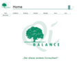 qi-balance.com