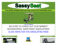 sassyseat.com