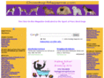showdogmagazine.com