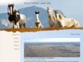 wildhorseairpark.com