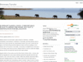 botswanatraveler.com