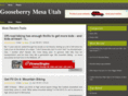 gooseberrymesautah.com