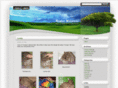 rabbitwhispers.com