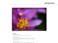 thefotocorner.com