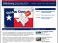 collincountyrealestateonline.com