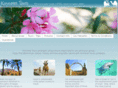 kinnerettours.com