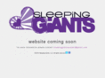 sleepinggiantsworkshop.com