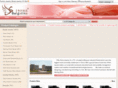 zjjewel.com
