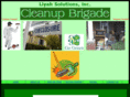 cleanupbrigade.com