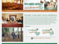 conferencesnewforest.com