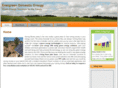 evergreendomesticenergy.com