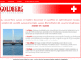 goldberg-consulting-suisse.com