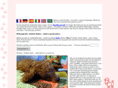 redpoodle.com