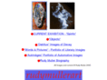 rudymuller-art.com