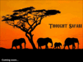 thoughtsafari.com