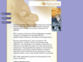 barnesconsultingteam.com