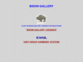 bisongallery.com