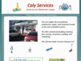 calyservices.com