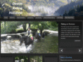 devonridingholidays.com